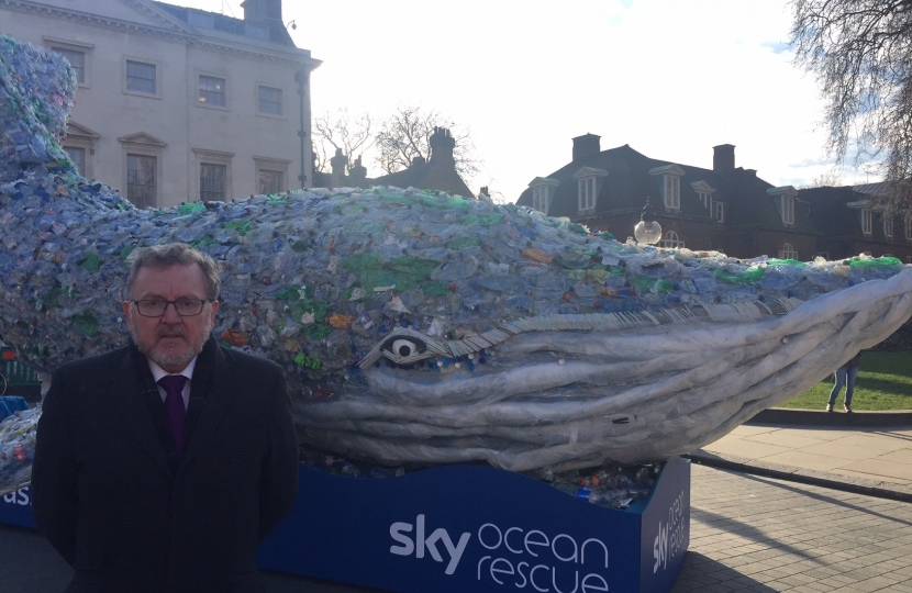 David has backed the Pass on Plastic campaign