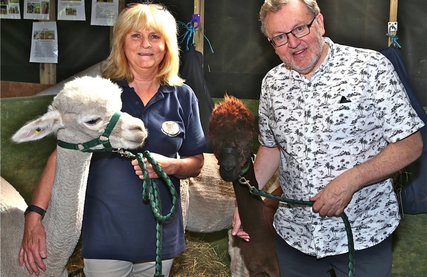  ANIMAL MAGIC . . .  local MP David Mundell and Lynda Halley with some of the Moffat alpacas